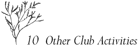 Chapter 10 - Other Club Activities