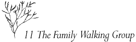 Chapter 11 - The Family Walking Group