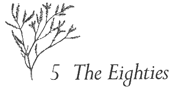 Chapter 5 - The Eightties