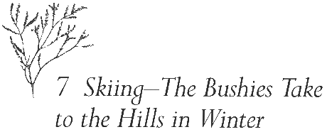 Chapter 7 - Skiing - The Bushies Take to the Hills in Winter