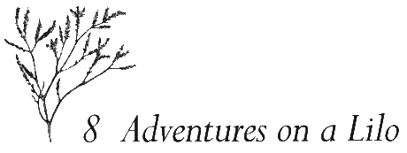 Chapter 8 - Adventures on a Lilo