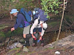 Walkers cleaning their boots at a phytophthora control point in Tasmania.